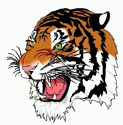 tiger